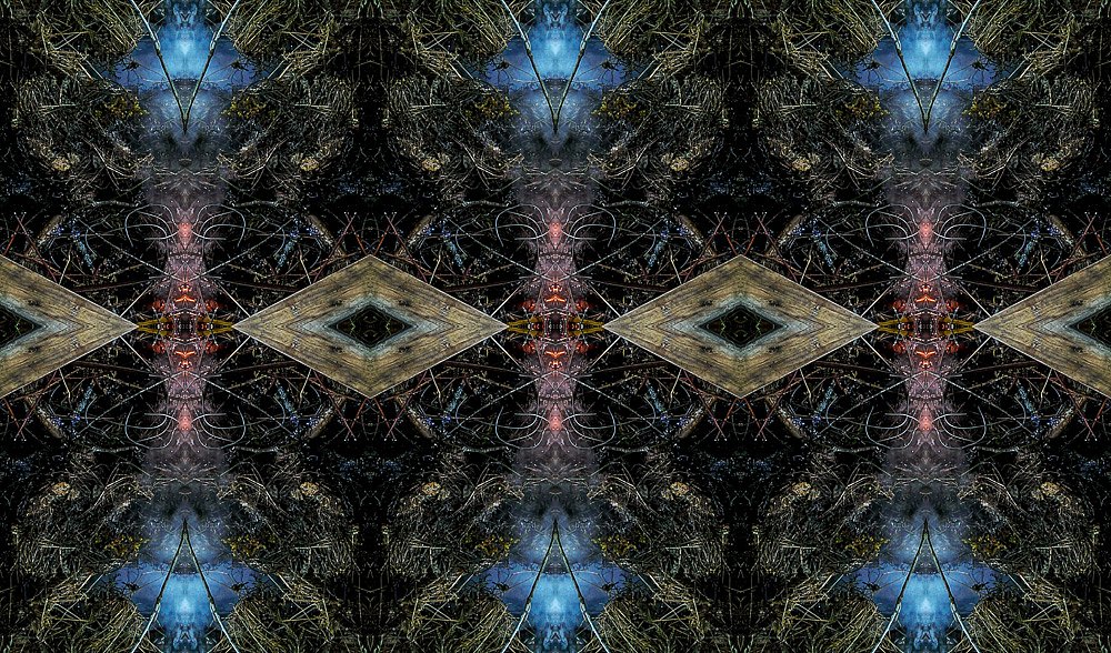 Endless X